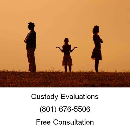 custody evaluations