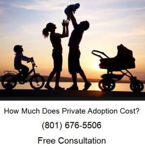 how much does private adoption cost