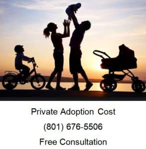 Costs of Private Adoption
