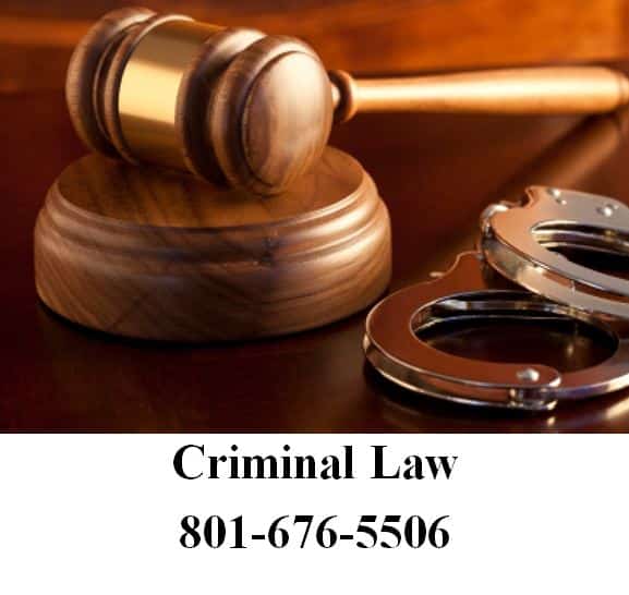 Criminal and Immigration Law