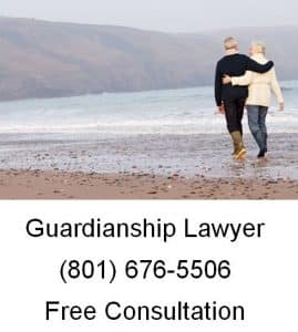 Law Firm for Guardianships